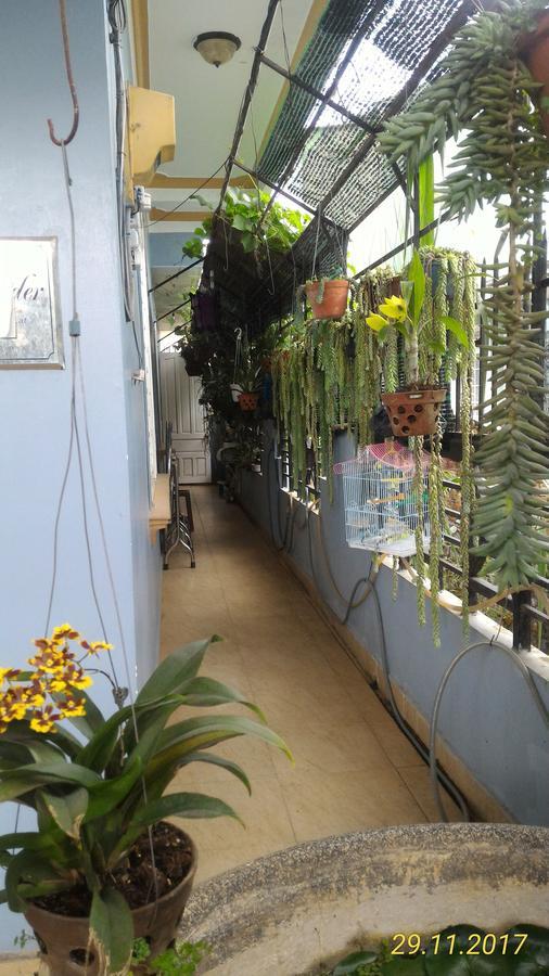 דה לאט Homstay An Nhien מראה חיצוני תמונה